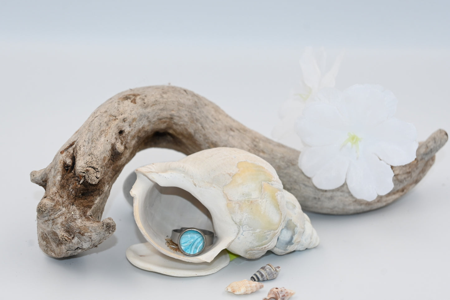 Le littoral | Bague